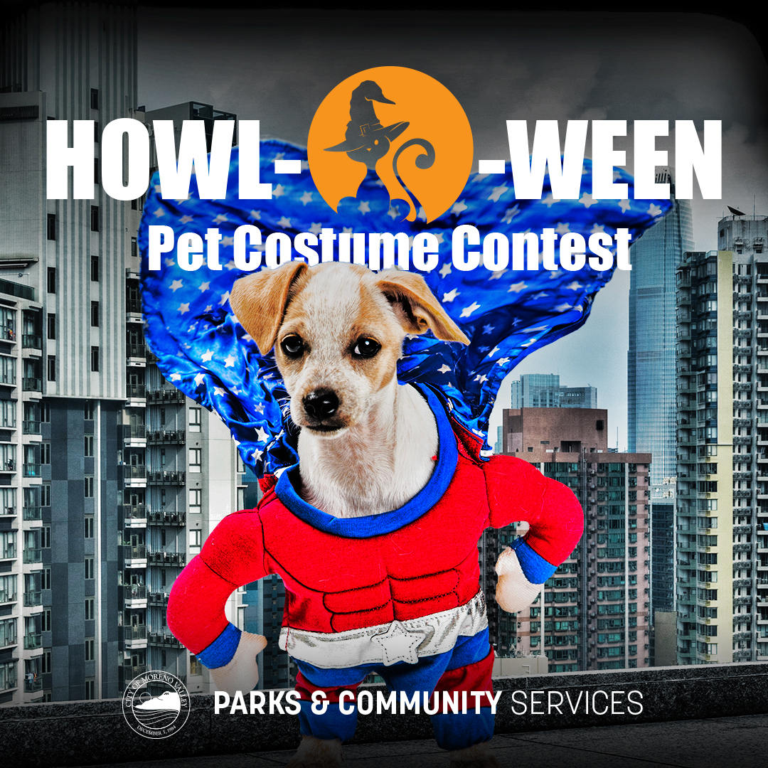 Howl-o-ween