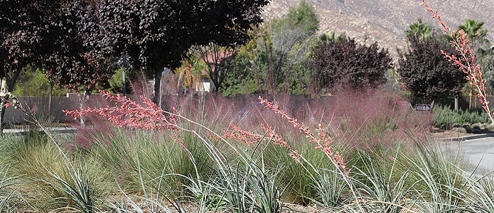 Photo of street landscaping