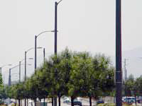 Photo of streetlights
