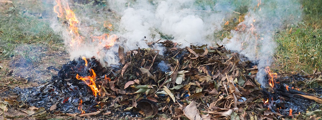 Burning pile of vegetation.