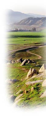Spring on the East side of Moreno Valley