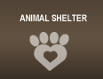 Animal Shelter