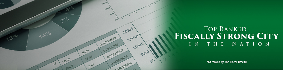 Fiscally Strong Information