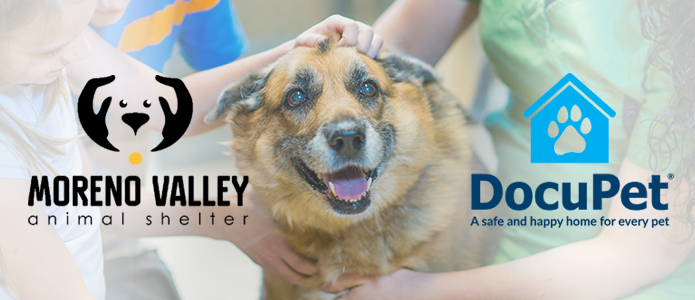 Docupet banner image with smiling dog.