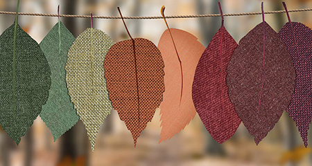 Fall leaves