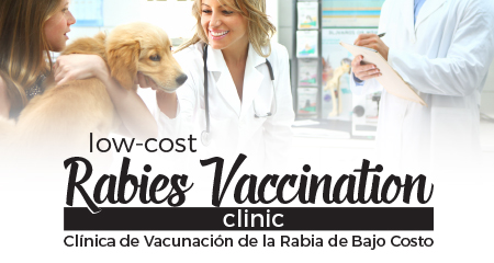 Low Cost Rabbies Vaccination Clinic