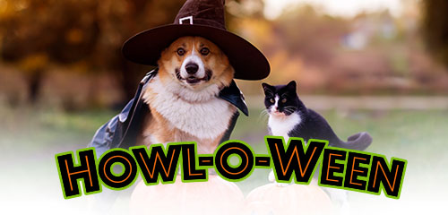 Howl-o-ween pet adotion event, October 20-24