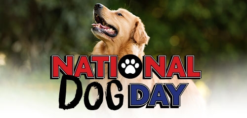 National Dog Day free adoptions. August 26