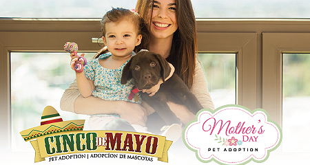 Mother's day Cinco de Mayo Pet Adoption