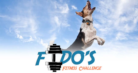 Fido Fitness Challenge