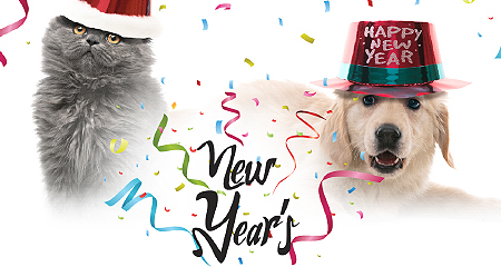 New Year Adoption Event banner