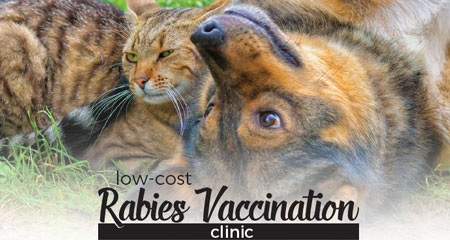 Rabies Vaccination Clinic