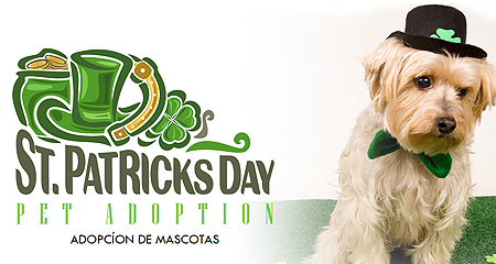 St. Patrick's Day Adoption