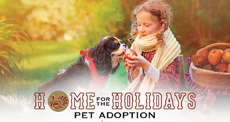 Home for the Holidays Pet Adoption Event