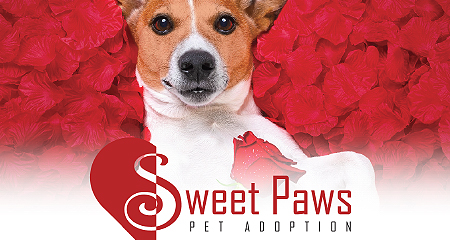 February Adoption Event Banner