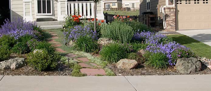 Water conserving landscape