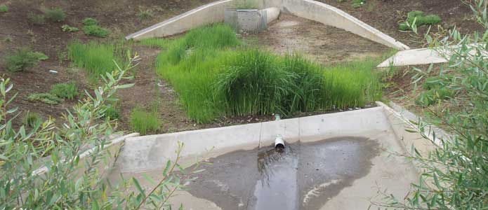Photo of stormwater drain