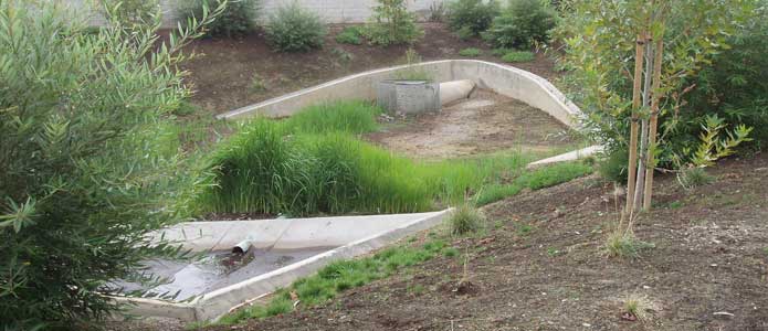 Photo of stormwater drain