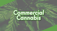 Commercial Cannabis Info