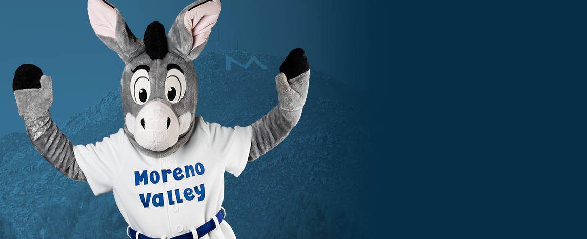 Bernie the Burrow asks you to take a survey