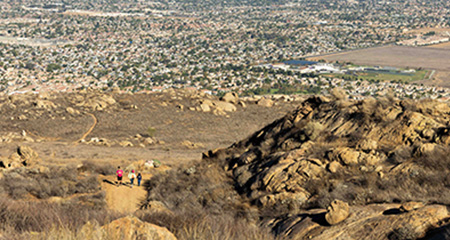 Terri Peak