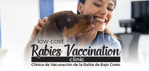 Low Cost Rabies Vaccination Clinic