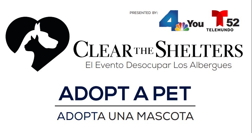 Clear the Shelters