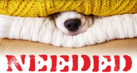 Needed: used blankets and towels.