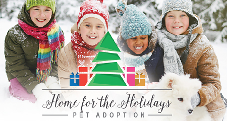 Home for the Holidays Pet Adoption Event