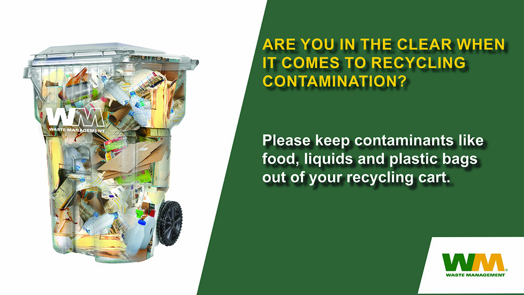 Keep food, liquids, and bags out of your recycling cart.